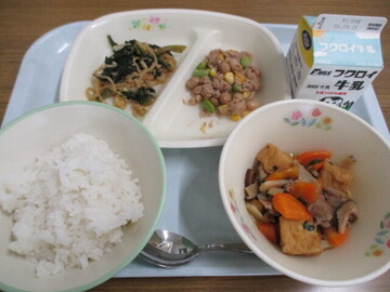給食