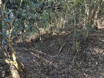 作業後（西峰横堀周辺）