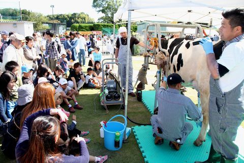 乳牛の搾乳実演を見学する来場者らの写真