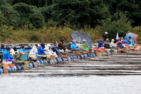 横一列に並んで釣果を競う参加者たちの写真