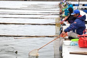 釣り竿や網を使って釣りを楽しむ参加者たちの写真