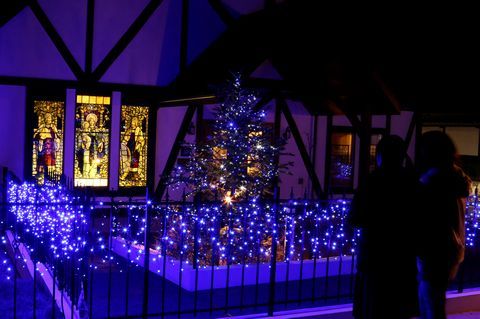 フェンスとモミの木に装飾された青色のLED照明を眺めている観光客ら
