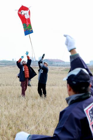 松竹梅や鶴亀などのおめでたい絵柄で描かれた遠州横須賀凧「とんがり」を揚げる一二三会のメンバー。一人が凧の糸を持ち、凧を持っていた二人が手を放し、凧が空に上がっている。