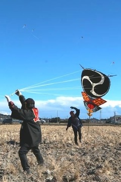 大空に舞う色鮮やかな巴凧が、太陽の光を受けステンドグラスのような美しい姿を披露するようす