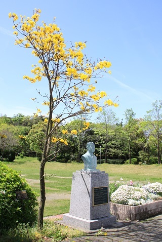 平野運平（かずへい）氏の胸像のそばに花を咲かせるイペの木