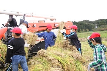 脱穀に緒戦する児童たち