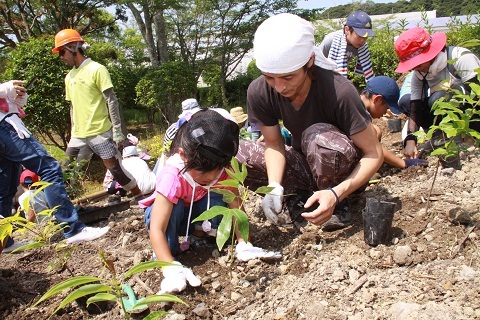 大池公園内のこどもの森にどんぐりの苗を植える親子