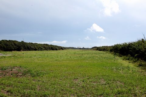 周りを森林に囲まれた芝生の広い土地と曇り空を写した太陽光発電設備建設予定地の写真