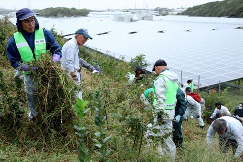 雑草が生い茂った斜面で雑草をかまで刈り取る地域住民や刈り取った草を運ぶ様子