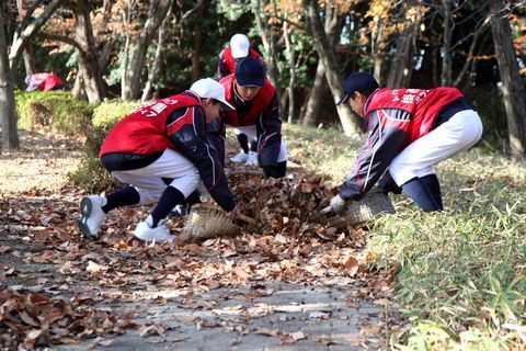 落ち葉清掃のボランティア活動。落ち葉を拾い集める生徒たち