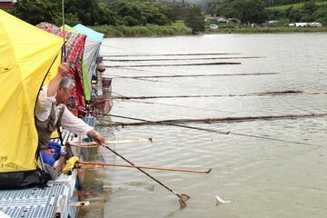 雨が降るなかカラフルなテントを並べ池に竿を曲げる太公望の様子