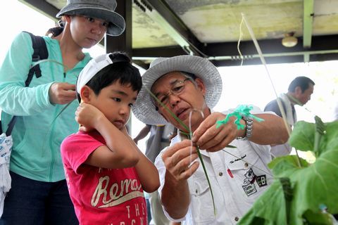 地元の方からシュロの葉を使った「カケガワフキバッタ」の作り方を手元を見ながら教わっている母親と男の子