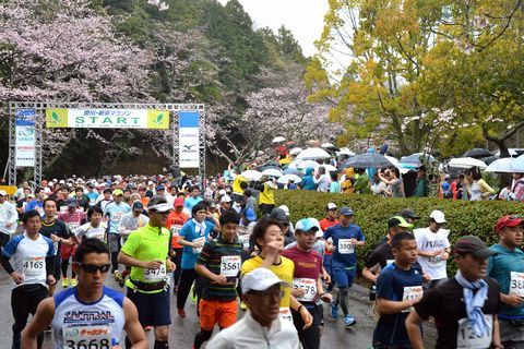 桜が咲いている雨の中、一斉にスタートするランナーたち。