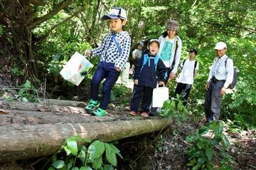 新緑の美しい背景をバックに、丸太の橋を慎重に渡る子どもたちと優しく見守る大人たち