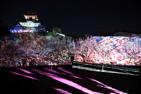 掛川城天守閣などに映像のサクラの花を咲かせた写真