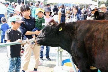 柵越しに大きな黒い牛を近くで見ている家族連れ