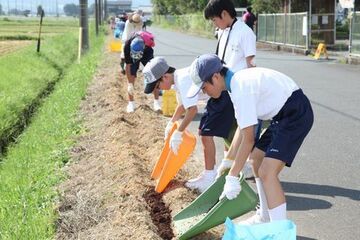 道路わきのうねに肥料をまく卓球部員たち