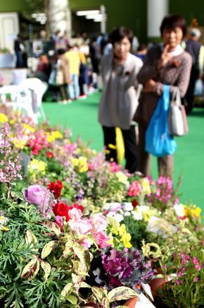 色とりどりの花を眺める参加者たち