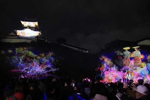 暗闇の中、鮮やかな映像が映し出された掛川城天守閣や本丸広場