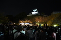 夜の掛川城に映し出されるプロジェクションマッピング