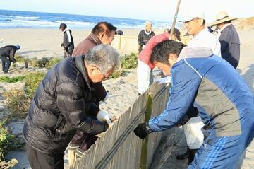 海岸に竹すのこなどで堆砂垣（たいさがき）を設置する住民らのようす