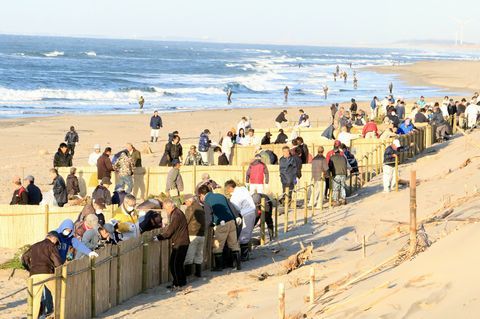 約280人が参加して240メートルの海岸を整備した千浜地区の海岸のようす