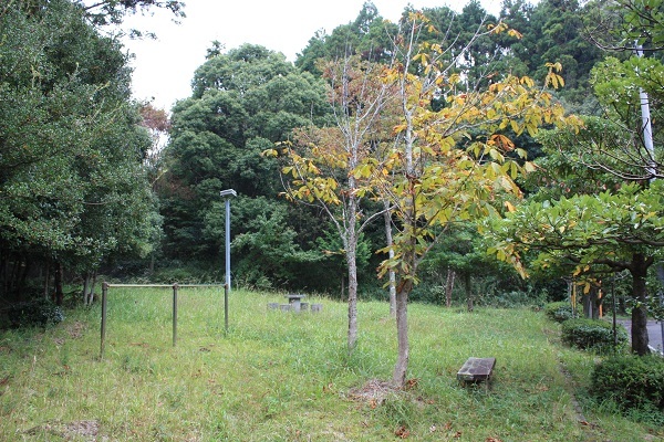 森林や芝生のある、やすらぎ公園の様子