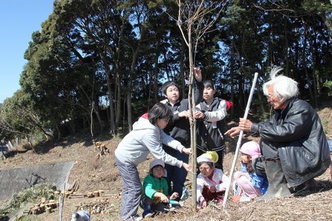 市民グループのメンバーに指導を受けながら、植樹する子どもたちの様子