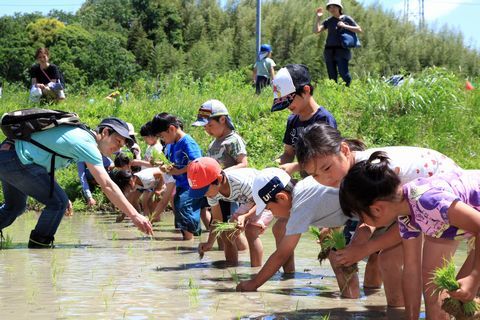 指導を受けながら苗を植えていく児童ら