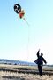 雲ひとつない青空のもと、田んぼで横須賀凧「巴」を揚げる巴会メンバーの様子