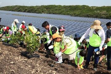 約1,100平方メートルの斜面にスコップなどを使って丁寧に植樹する参加者たちのようす