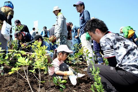 スコップを使って丁寧に植樹する親子のようす