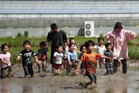 田んぼで元気いっぱいに泥んこ遊びをする園児たちのようす