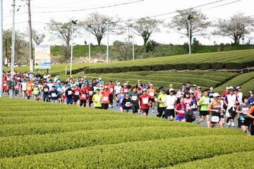 茶畑のすぐそばを快走するランナーたちの様子