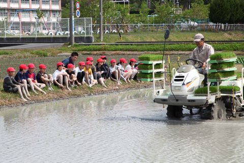 あぜ道に座り田植え機を使った田植えを座って見学している児童の様子