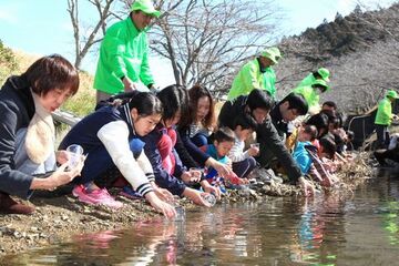 上垂木川本流にホタルの幼虫を放すコップを手にした参加者ら