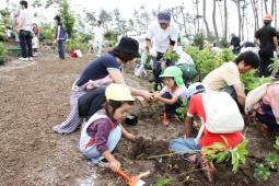 園児たちと苗を植えて森の防波堤を作ろうとしている様子