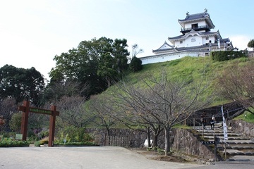 奥の小高い丘の上に天守閣をのぞむ掛川城公園の様子