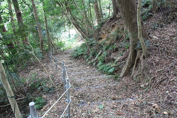 坂下ノ谷自然公園の散策道の写真