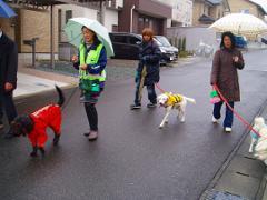 愛犬と散歩をしながら防犯パトロールする様子