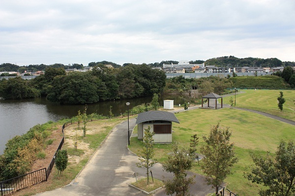 京徳池公園の池と遊歩道が見える全景。