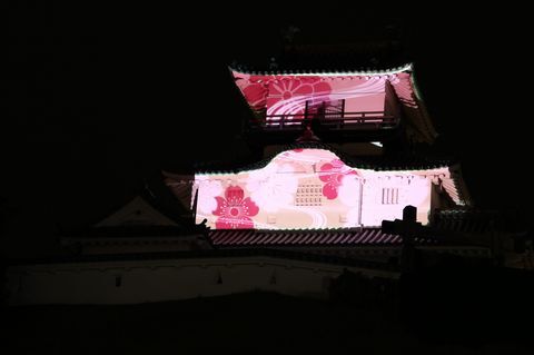 暗闇の中、城壁にピンクの桜が映し出された掛川城