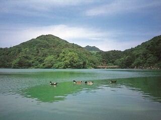 山を背景に貯水池が広がり、湖面を4匹のカモが漂う