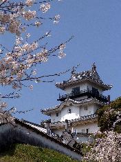 桜咲く木々の間から覗く掛川城の様子