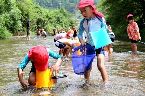 深さ20センチほどの川に入りタモ網や箱メガネで水生昆虫などを捕まえて川遊びを楽しむ児童たち