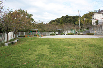 芝生の広がる公園にブランコやベンチがあり、周囲に桜の木がある秋の青葉台公園