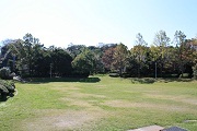 芝生の広い広場、奥には木が茂っている