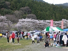 桜並木の手前に並んだ店で買い物などを楽しむ人々