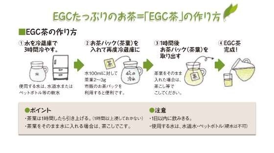 EGCたっぷりのお茶「EGC茶」の作り方のイラスト