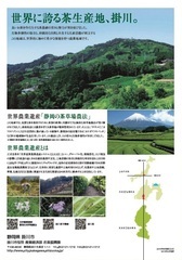 パンフレットの画像で、山や富士山の写真、世界農業遺産「静岡の茶草場農法」について書かれている。